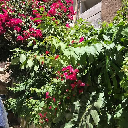 Family Relax ساراندا